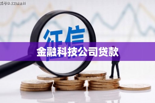 光明新区金融科技公司贷款