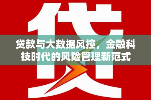 光明新区贷款与大数据风控，金融科技时代的风险管理新范式