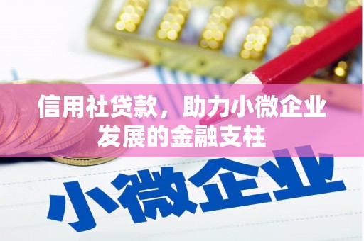 光明新区信用社贷款，助力小微企业发展的金融支柱