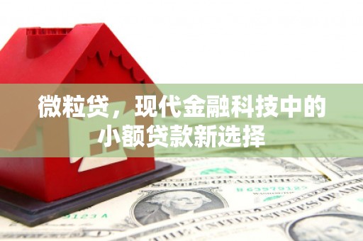 光明新区微粒贷，现代金融科技中的小额贷款新选择
