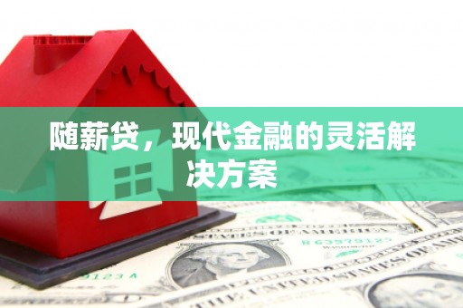 光明新区随薪贷，现代金融的灵活解决方案
