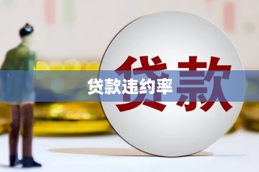 光明新区贷款违约率