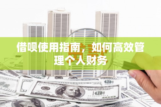 光明新区借呗使用指南，如何高效管理个人财务