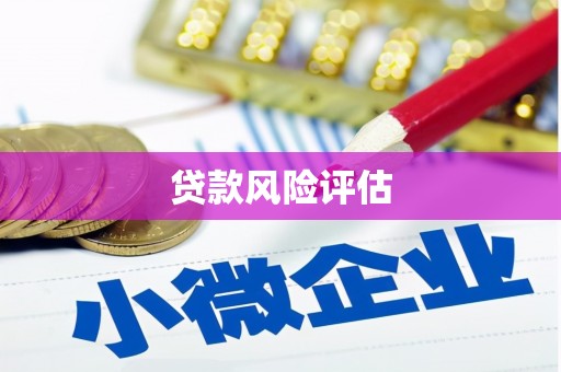 光明新区贷款风险评估