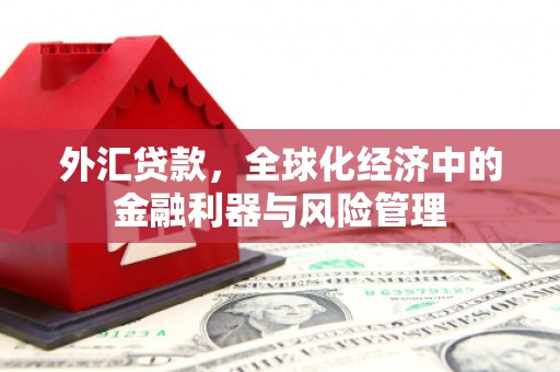 光明新区外汇贷款，全球化经济中的金融利器与风险管理