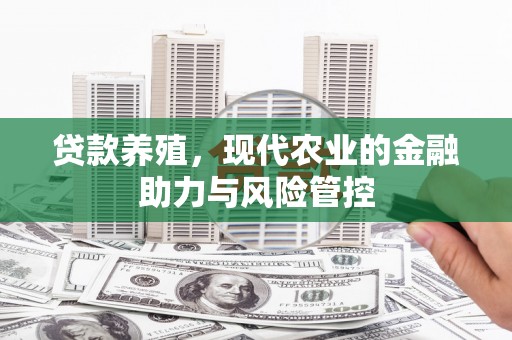 光明新区贷款养殖，现代农业的金融助力与风险管控