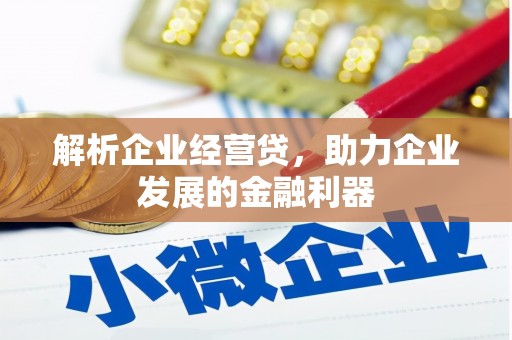 光明新区解析企业经营贷，助力企业发展的金融利器