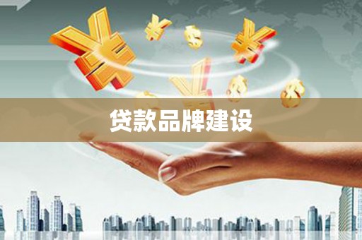 光明新区贷款品牌建设