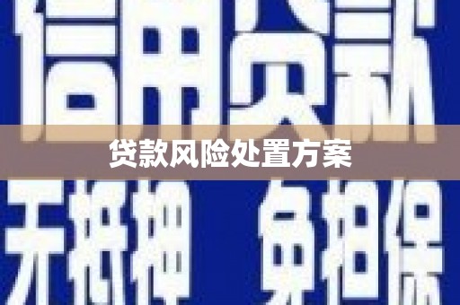 光明新区贷款风险处置方案