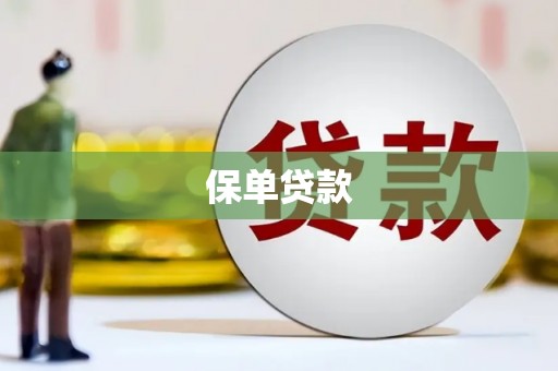 光明新区保单贷款