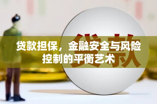 光明新区贷款担保，金融安全与风险控制的平衡艺术