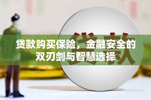 光明新区贷款购买保险，金融安全的双刃剑与智慧选择