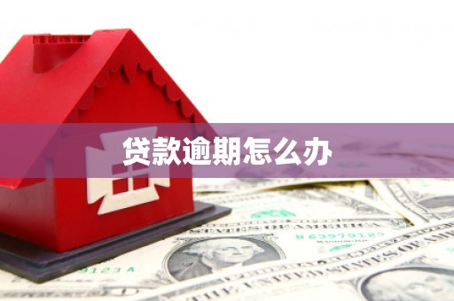 光明新区贷款逾期怎么办