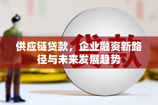 光明新区供应链贷款，企业融资新路径与未来发展趋势