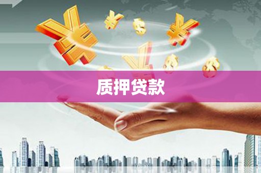 光明新区质押贷款