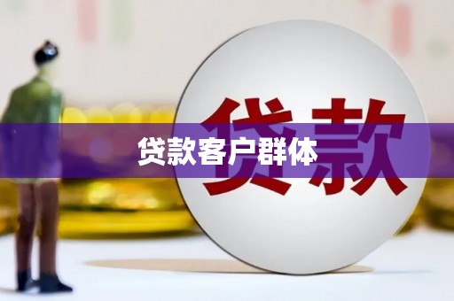 光明新区贷款客户群体