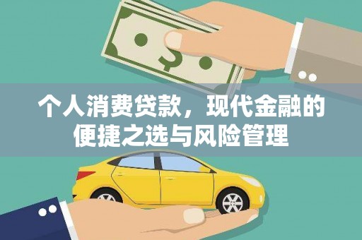 光明新区个人消费贷款，现代金融的便捷之选与风险管理