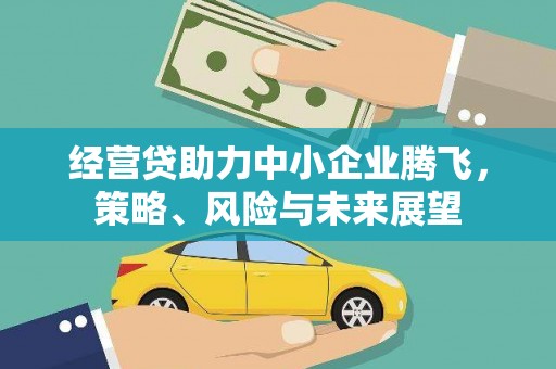 光明新区经营贷助力中小企业腾飞，策略、风险与未来展望