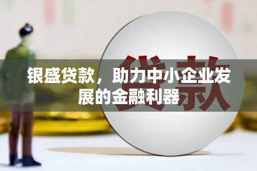 光明新区银盛贷款，助力中小企业发展的金融利器