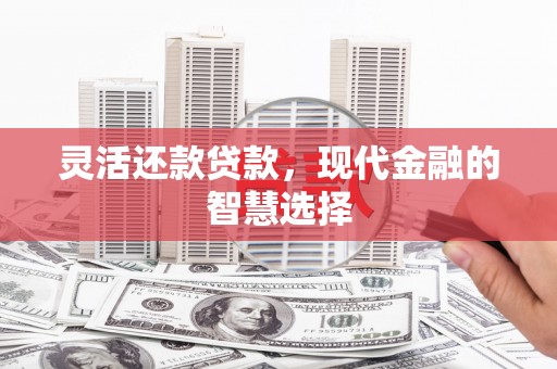 光明新区灵活还款贷款，现代金融的智慧选择