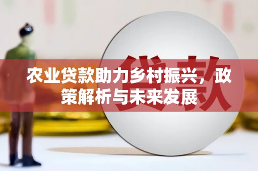 光明新区农业贷款助力乡村振兴，政策解析与未来发展