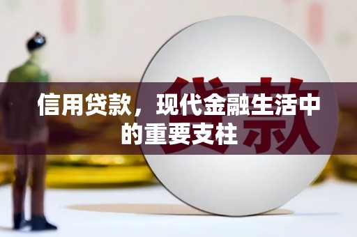 光明新区信用贷款，现代金融生活中的重要支柱