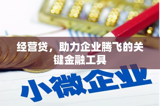 光明新区经营贷，助力企业腾飞的关键金融工具