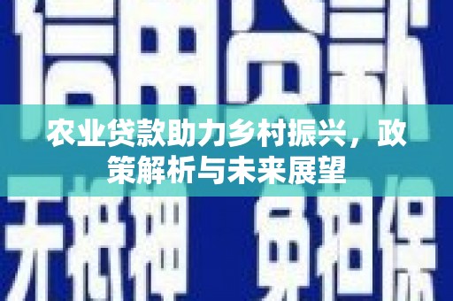 光明新区农业贷款助力乡村振兴，政策解析与未来展望