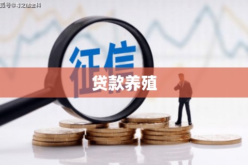 光明新区贷款养殖