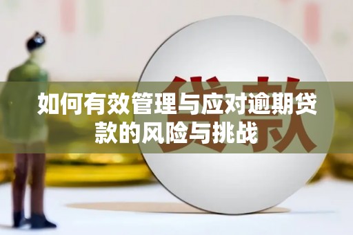 光明新区如何有效管理与应对逾期贷款的风险与挑战