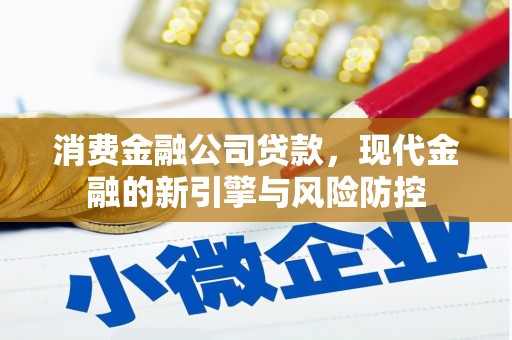 光明新区消费金融公司贷款，现代金融的新引擎与风险防控