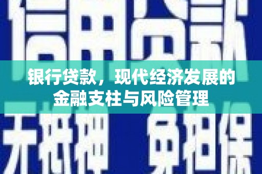 光明新区银行贷款，现代经济发展的金融支柱与风险管理