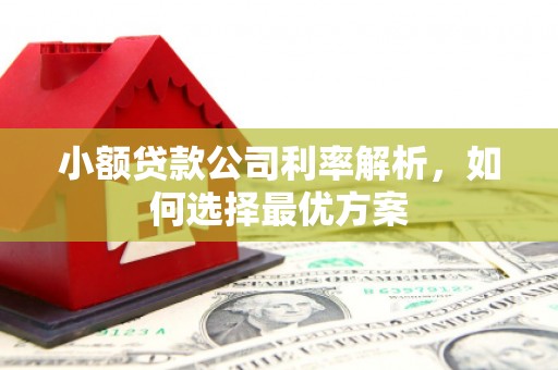 光明新区小额贷款公司利率解析，如何选择最优方案