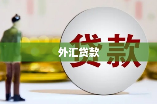 光明新区外汇贷款