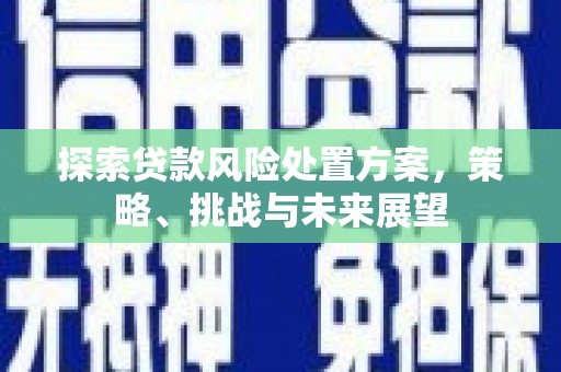 光明新区探索贷款风险处置方案，策略、挑战与未来展望
