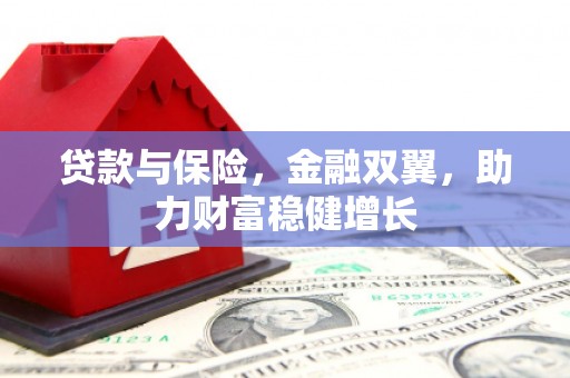 光明新区贷款与保险，金融双翼，助力财富稳健增长