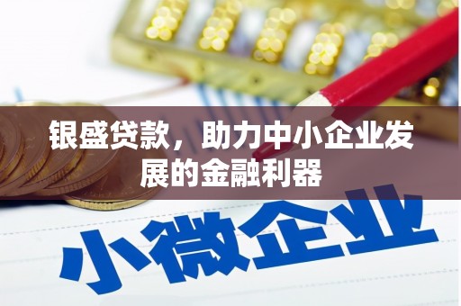 光明新区银盛贷款，助力中小企业发展的金融利器