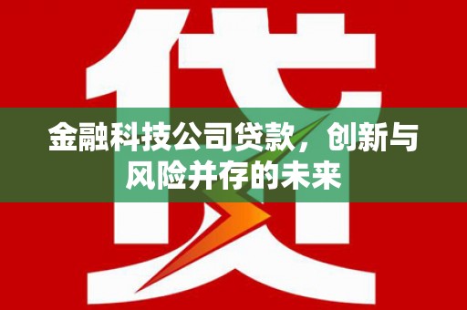 光明新区金融科技公司贷款，创新与风险并存的未来