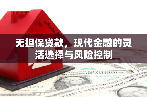光明新区无担保贷款，现代金融的灵活选择与风险控制