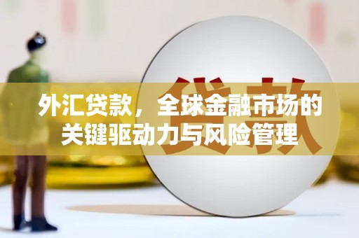 光明新区外汇贷款，全球金融市场的关键驱动力与风险管理