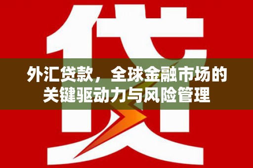 光明新区外汇贷款，全球金融市场的关键驱动力与风险管理