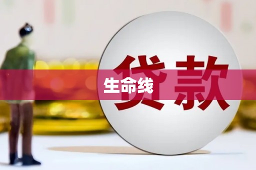 光明新区生命线