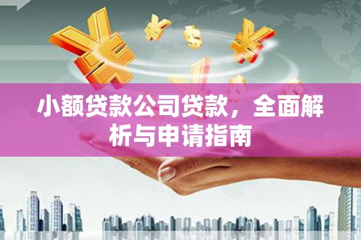 光明新区小额贷款公司贷款，全面解析与申请指南