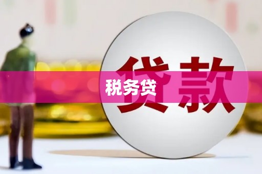 光明新区税务贷