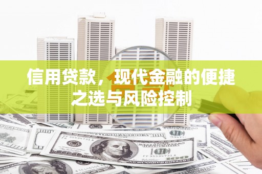 光明新区信用贷款，现代金融的便捷之选与风险控制