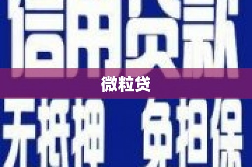 光明新区微粒贷