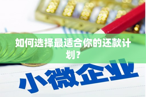 光明新区如何选择最适合你的还款计划？