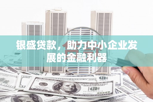 光明新区银盛贷款，助力中小企业发展的金融利器
