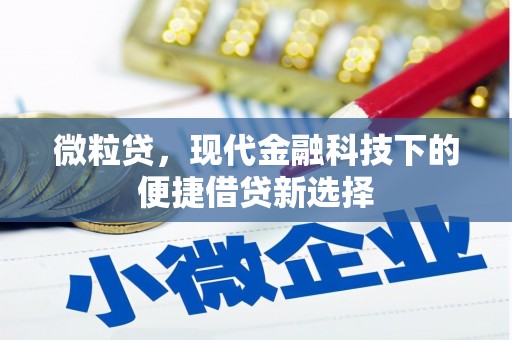 光明新区微粒贷，现代金融科技下的便捷借贷新选择