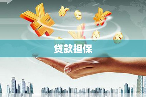 光明新区贷款担保
